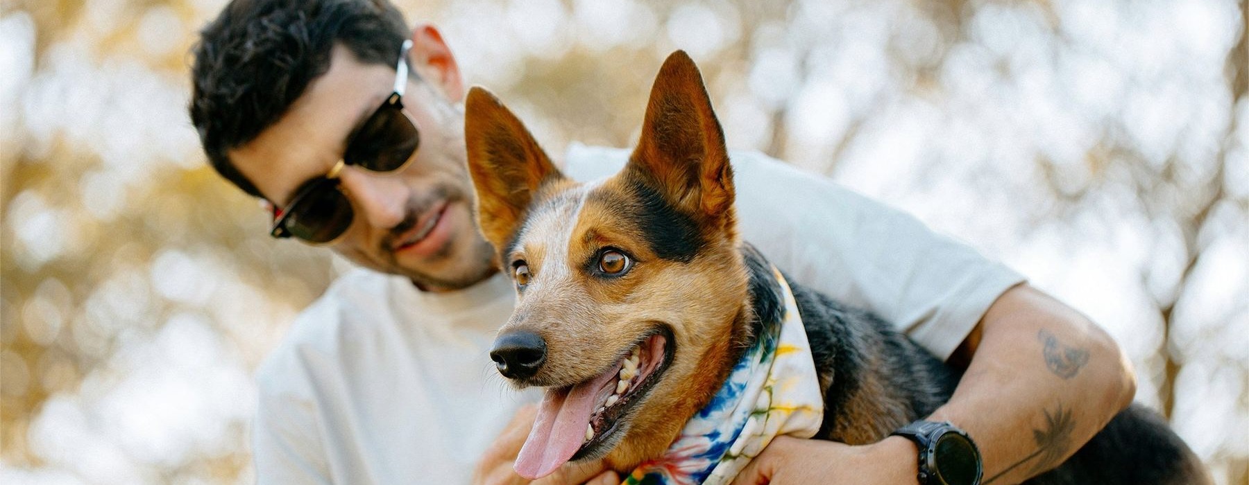 a person holding a dog