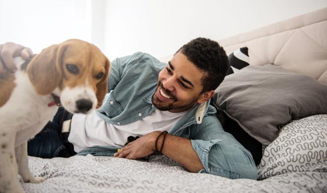 man smiles and pets his dog on a bed